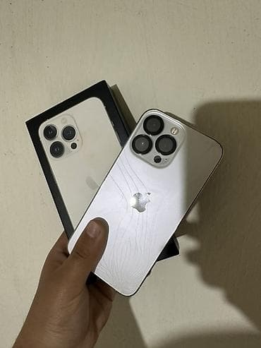 far cry 5: IPhone 13 Pro, 128 ГБ, Серебристый, Коробка — 1