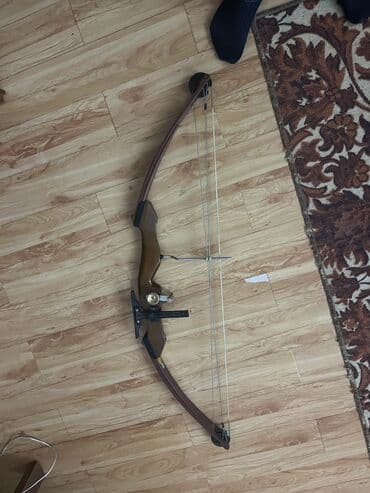 потомки солнца книга купить бишкек: Арбалет плечевой с прикладом и оптическим прицелом 10000с Блочный лук — 5