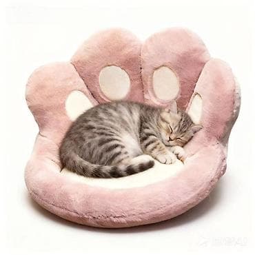 розовое офисное кресло: Весь комплект из 6 предметов - 2500 с. выгодная покупка для — 3