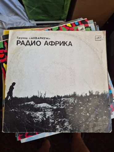 приятного просмотра вам: Музыкальные альбомы (представляющими собой виниловые пластинки) — 6