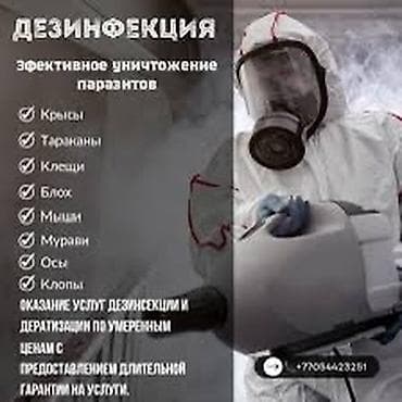 Дезинфекция, дезинсекция, | Клопы, Блохи, Вирусы, микробы, | Дворы, Квартиры, Подъезды