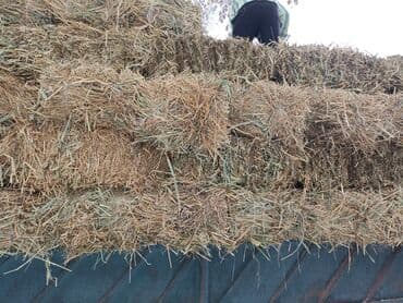 А/ч жаныбарлары үчүн тоюттар: Подпокровный 200шт аралаш доставка есть — 3