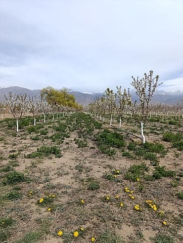 строительство из контейнеров: 80 соток, Для бизнеса — 10