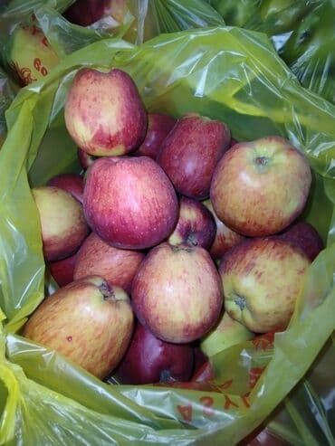 Яблоки Голден, Оптом