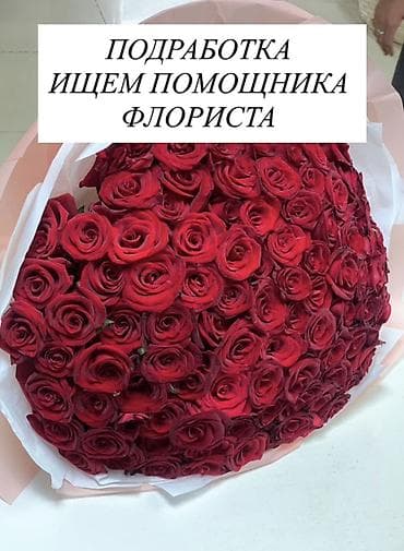 Үй жана бакча: Требуется приходящий помощник флориста, Не на каждый день, нужно — 2