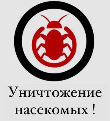 уничтожение клоп блох: Дезинфекция, дезинсекция, | Клопы, Блохи, Тараканы, | Транспорт, Офисы, Квартиры — 1