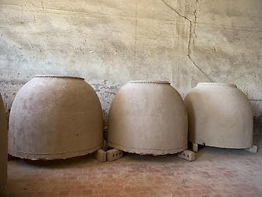 бак алам: Мангал Классикалык, Акылуу жеткирүү — 7