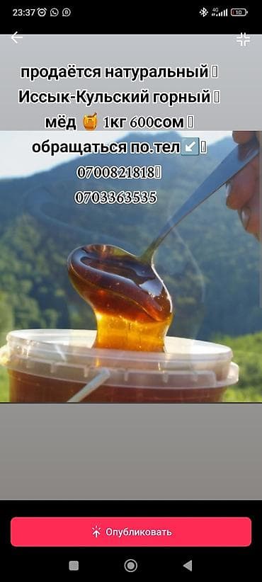белый мед кыргызстан: Продаются натуральный горный мёд 
🍯Иссык Кульский) 1kg 600с — 1