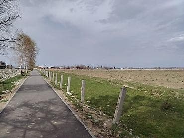 здаю землю: 100 соток Для сельского хозяйства — 1