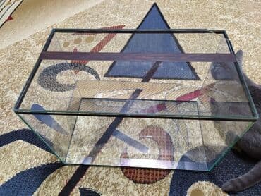 аквариумная рыбка: Аквариум 50 литров с крышкой. 
Новый — 4