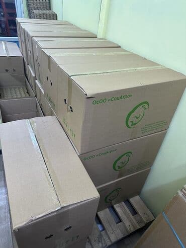 ящик из фанеры: Продаются коробки из под яиц, отличное состояние. В наличии около 200 — 1