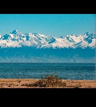 село мыкан: 4 соток, Для бизнеса, Красная книга — 1