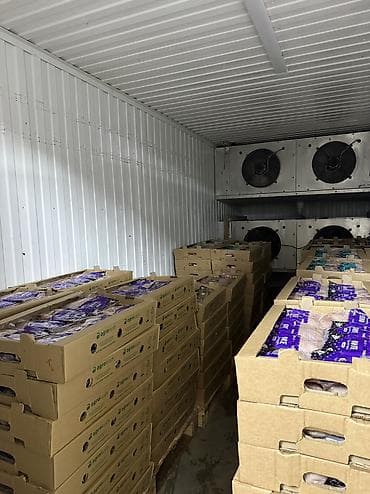 морозильник для мясо: Продаем форель в шоковой заморозке Любой объем! Есть доставка на — 4