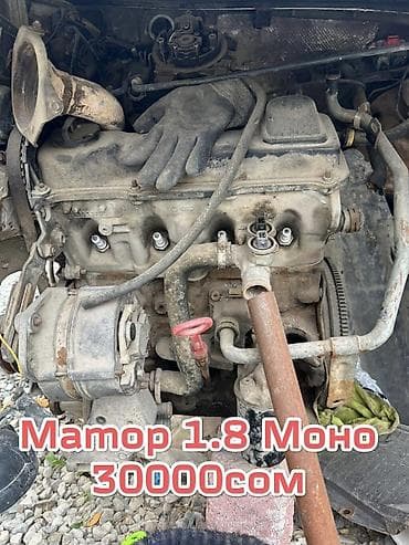я ищу лобо: Volkswagen — 5