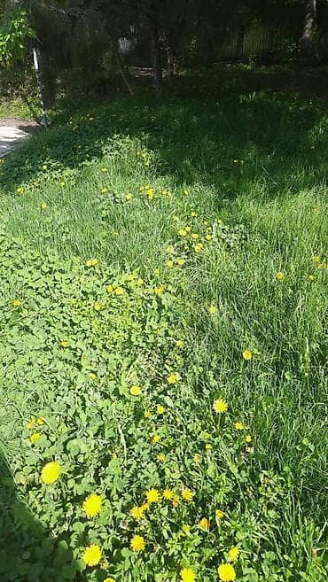 Автозапчасти: Передняя левая фара — 10