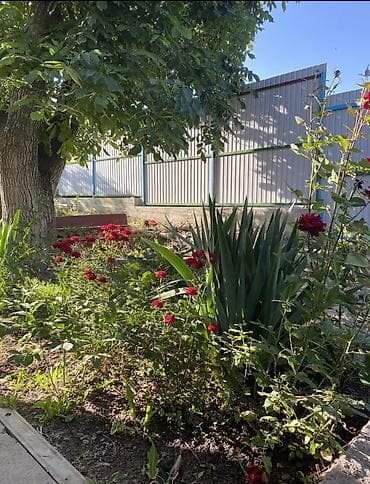 🚨 Шашылыш сатылат! 🏡 Сокулук району, «Вишенка» дача конушу ✨ Табияты