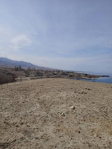 кайракы жер: 787 соток, Айыл чарба үчүн, Сатып алуу-сатуу келишими, Кызыл китеп — 6