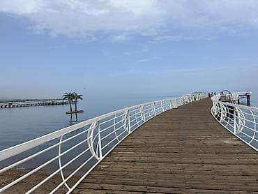 аренда дома с бильярдом: Коттедж, Palm Beach, Чок-Тал, 8 мест — 10