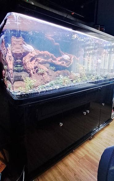 тумба под аквариум: Аквариум Jebo с тумбой - Большой прямоугольный аквариум Jebo на — 1