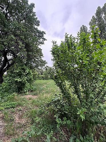 group: 12 соток, Красная книга, Тех паспорт, Договор купли-продажи — 9