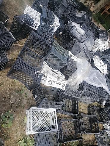 мультикан: Другие садовые инструменты и инвентарь — 1