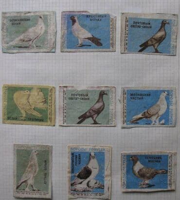 продаю медали: Продаю коллекцию спичечных этикеток,примерно 2000 штук. Два больших — 16