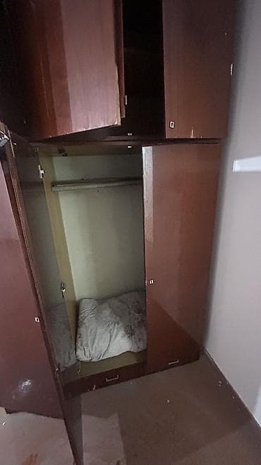 Бюро находок: Отдам даром — 4