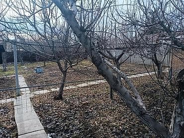 район филармония: 8 соток, Для строительства, Красная книга, Тех паспорт, Договор купли-продажи — 4