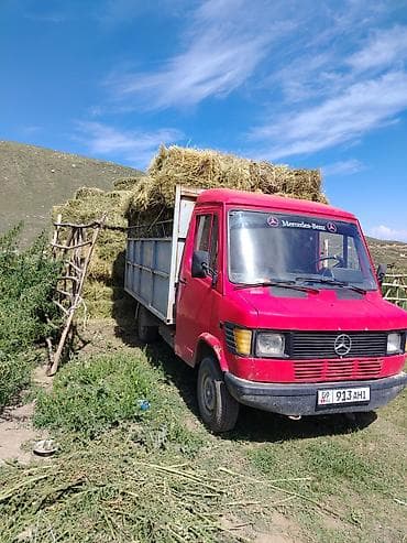 каракол мото: Грузовик, Mercedes-Benz, Стандарт, 3 т, Б/у — 1