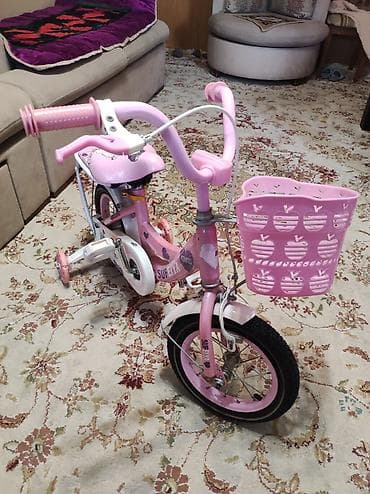 Детский велосипед, 2-колесный, 4 - 6 лет, Для девочки