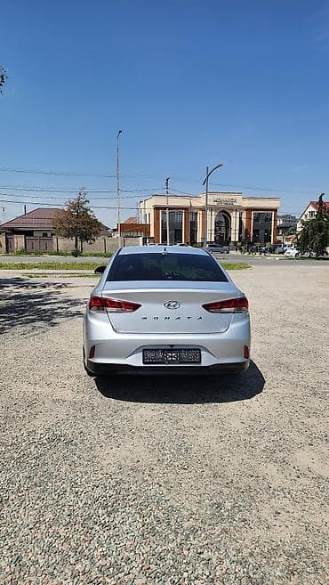 сетка от солнца: Hyundai Sonata: 2019 г., 2 л, Автомат, Газ, Седан — 5