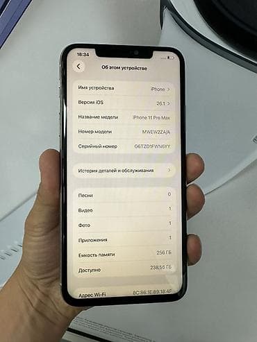 IPhone 11 Pro Max, 256 ГБ, Серебристый, 100 %
