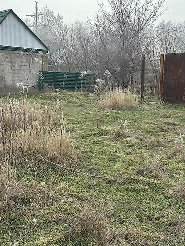 Земельные участки: 6 соток, Для бизнеса, Красная книга — 4