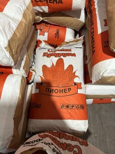 где купить саженцы в бишкеке: Продаю семена кукурузы — 4