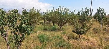 строим дом: 15 соток, Для бизнеса, Красная книга — 5