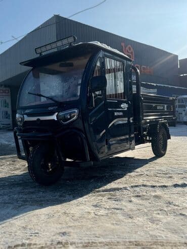 сукутер мапет: Мотороллер муравей Электро, 50 км, 1500 кг и более, Новый — 2