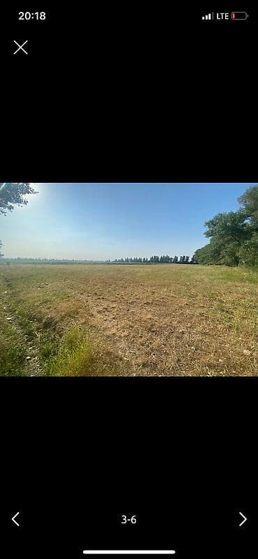 кок жар ж м: 300 соток, Айыл чарба үчүн — 4