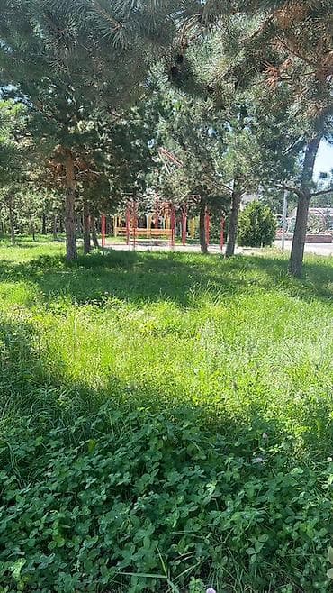 продажа земельный участок: Продаётся уютный коттедж-гостевой дом (озера Иссык-Куль село Кожояр) — 1