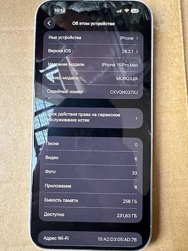 IPhone 15 Pro Max, 256 ГБ, Чехол, 89 %