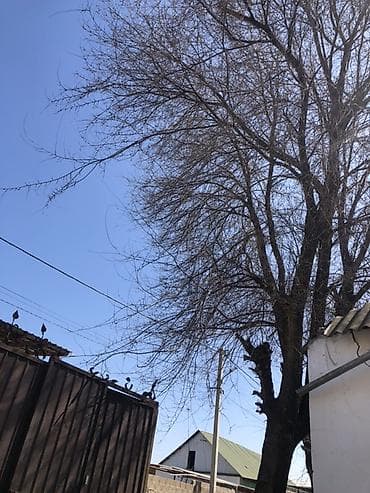 книги на английском: БЕКЕР БЕРИЛЕТ КАРА ЖЫГАЧ ЭКИ ЧОН ТУП ДАРОО АЛЫП КЕТИНИЗДЕР!!! Аралап — 5