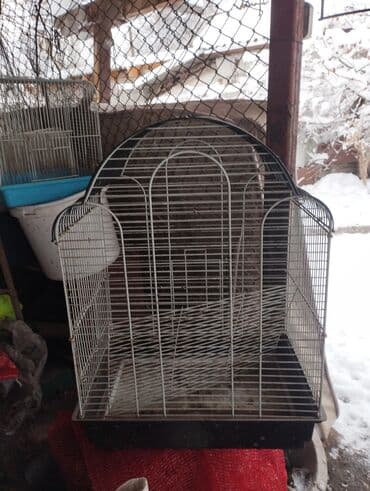 акустические системы protech колонка в виде собак: Клетки для грызунов и птиц Если нужен конкретный размер или — 2