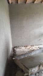 штукатурка стен: Штукатурка стен Больше 6 лет опыта — 8