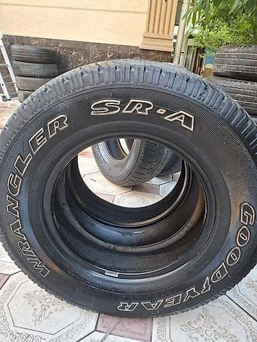 225 15: Шины 235 / 70 / R 16, Всесезонная, Комплект, Внедорожные (АТ/МТ), GoodYear — 3