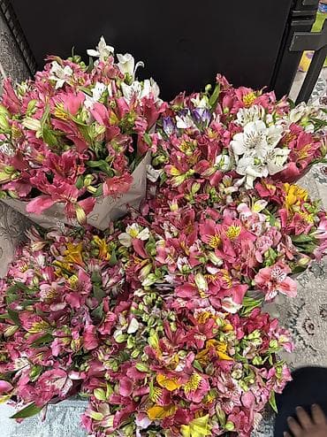 заказать тан: Акция 📌 Пышный свежий букет по оптовым ценам 0сом 🌸 Самовывоз или — 5