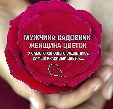 мандариный букет: Подработка издеймин саат 5 кийингн рубиново-малинового оттенка — 1