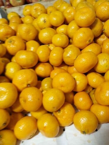 malina.kg продажа малины оптом в бишкеке новопокровка фото: Мөмө-Жемиш оптом жана розница сатабыз — 10