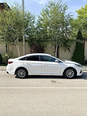 Hyundai Sonata: 2020 г., 2 л, Автомат, Газ, Седан