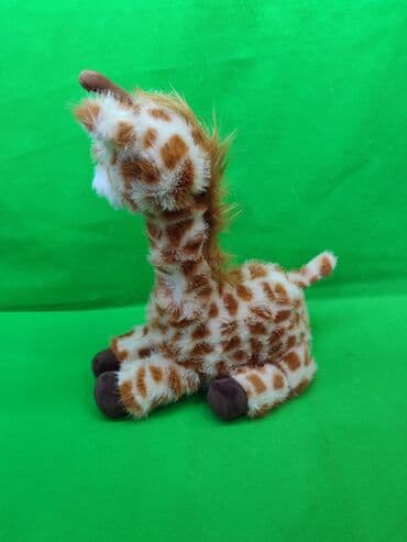 мишка 2 метра цена бишкек: Жираф игрушка мягкая🦒 Комплектация товара: 1 большой жираф🌟 — 2