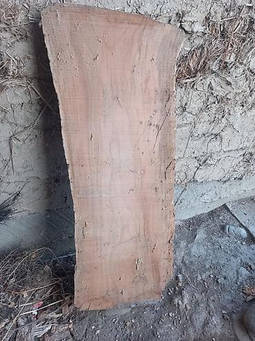 метал бу: 2 жыл 6 ай кыкта көмүлүп жаткан өрүк дарагынын бөлүгү чыныгы комуз — 3