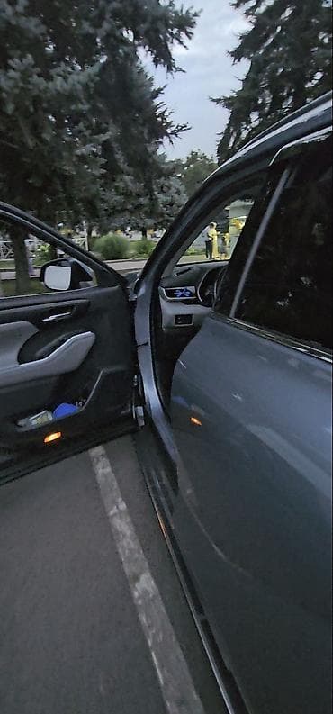 step rf3: Наружные накладки порогов Toyota, 2020 г., Новый, Оригинал — 4